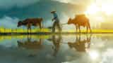 how farming success 7 best tips for indian farmers