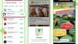 WhatsApp पर अब दिखेंगे विज्ञापन! जानें कंपनी के नए Monetization प्लान में आपकी प्राइवेसी का क्या होगा? whatsapp new update to show ads in updates tab status and channels new monetization features check how it works