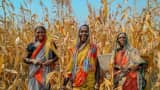 Labour welfare schemes have empowered over 50 lakh unorganised workers says Centre Government