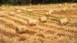 Small Cap Company PSP Projects Bags Multiple Order in Gujarat worth Rs 1764 Crore Rupees