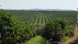 Which Profitable farming for long term income india also government support