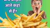 gujarat processed potato hub french fries export success story
