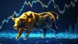 Stock Market Today us market today live update sensex and nifty nasdaq lifetime high us tariffs fiis diis