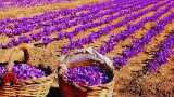 Small Cap Company PSP Projects Bags Multiple Order in Gujarat worth Rs 1764 Crore Rupees