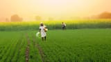 Small Cap Company PSP Projects Bags Multiple Order in Gujarat worth Rs 1764 Crore Rupees