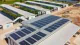 Waaree Energies Bags Order of 500 Megawatt from American Subsidiary Share gave 33 Percent Return in an year