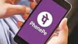 PhonePe ने लॉन्च किया ऑफलाइन पार्टनर प्रोग्राम, जानें कैसे करेगा काम?