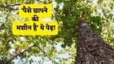 Small Cap Company PSP Projects Bags Multiple Order in Gujarat worth Rs 1764 Crore Rupees