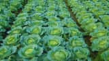 Small Cap Company PSP Projects Bags Multiple Order in Gujarat worth Rs 1764 Crore Rupees