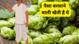 Small Cap Company PSP Projects Bags Multiple Order in Gujarat worth Rs 1764 Crore Rupees