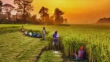 Small Cap Company PSP Projects Bags Multiple Order in Gujarat worth Rs 1764 Crore Rupees
