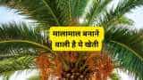 Small Cap Company PSP Projects Bags Multiple Order in Gujarat worth Rs 1764 Crore Rupees