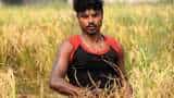 PMFBY Centre to disburse rs 3200 crore in crop insurance to 30 lakh farmers on 11 August 2025