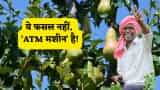 Small Cap Company PSP Projects Bags Multiple Order in Gujarat worth Rs 1764 Crore Rupees