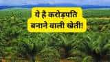 Small Cap Company PSP Projects Bags Multiple Order in Gujarat worth Rs 1764 Crore Rupees