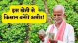 Small Cap Company PSP Projects Bags Multiple Order in Gujarat worth Rs 1764 Crore Rupees