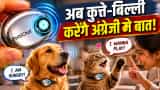 Chinese Startup Meng Xiaoyi Launches AI Pet Collar to Translate Barks and Meows into Human Speech
