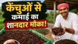 Business Idea start Vermicompost business with low investment and earns in lakh know How to Make Vermicompost