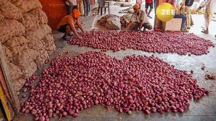 प्याज के दाम, Onion prices, Today's Onion price, Onion prices in Delhi, Onion prices in Azadpur Mandi, Afghanistan Onion, Onion price fall, Onion price latest news in Hindi, Afghanistan Onion stock, retail price of Onion, Zee busines news in Hindi