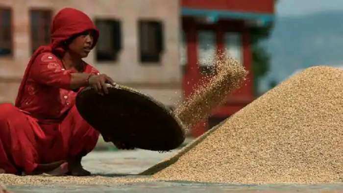 Paddy procurement on MSP by Government till 8 January; 70 lakh farmers sold 531.22 lakh tone crop