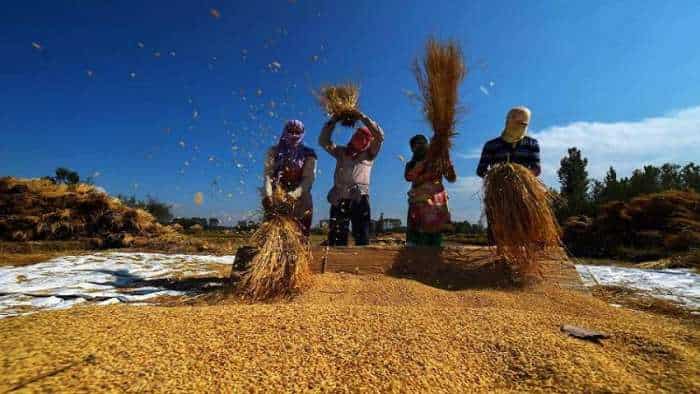 Paddy procurement at MSP increased by 18 percent to 614 lakh tonnes