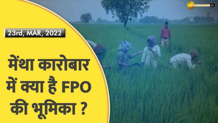 मेंथा कारोबार में क्या है FPO की भूमिका ?