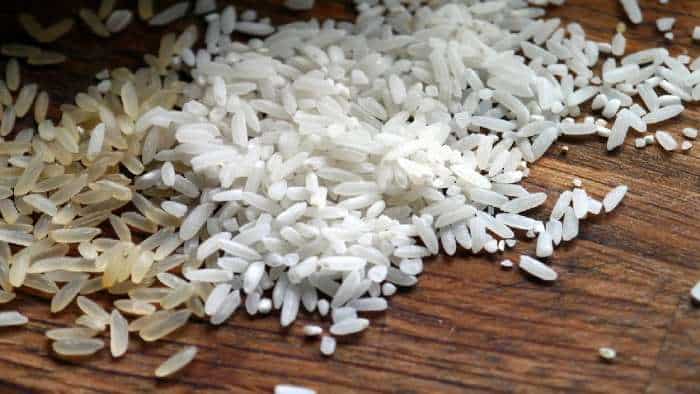 चावल के निर्यात पर प्रतिबंध नहीं लगाएगी सरकार, घरेलू जरूरतों को पूरा करने के लिए बफर स्टॉक उपलब्ध