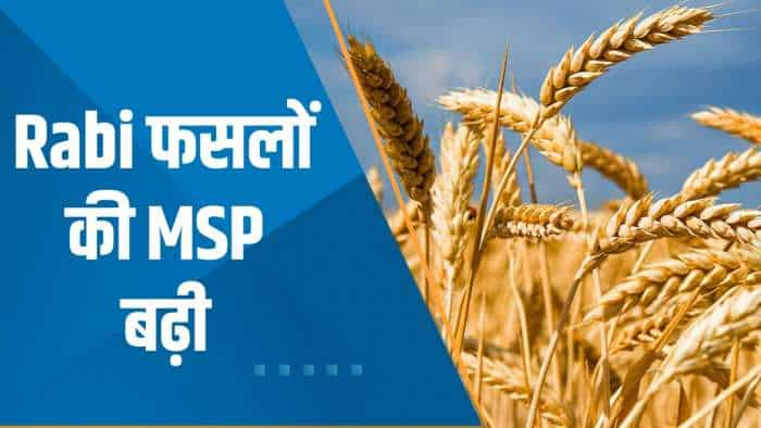 Commodity Superfast: सरकार ने किसानों को दिया Diwali का तोहफा ! रबी फसलों की MSP बढ़ी