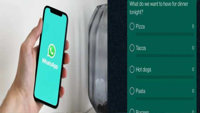 WhatsApp Polls feature releasing the ability to create polls on one to one chats for some lucky users check how it works