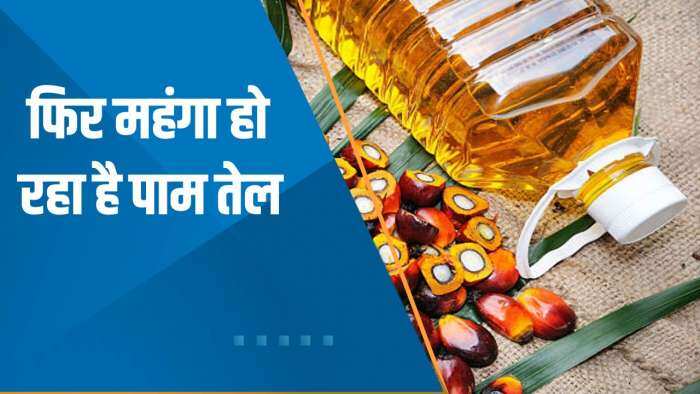 Commodities Live: पाम तेल फिर क्यों बढ़ने लगा? नए संवत में किस कमोडिटी में ज्यादा रिटर्न?