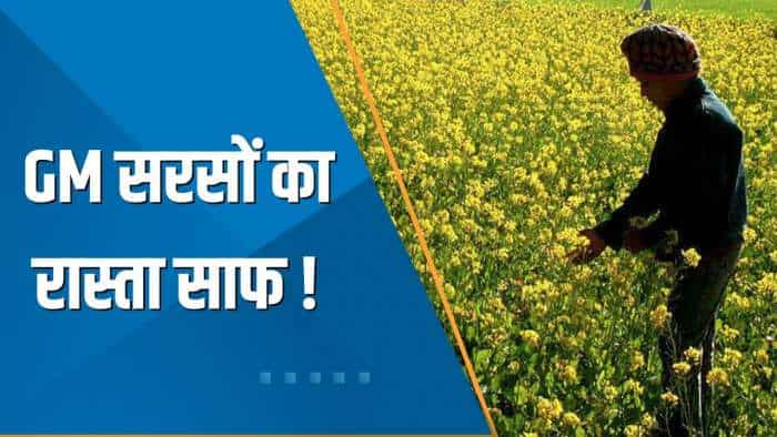 Commodities Live: GEAC ने जेनेटिकली मॉडीफाइड सरसों को दी हरी झंडी