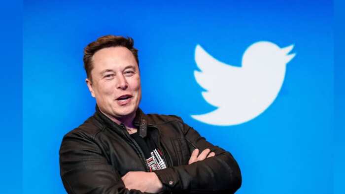 Twitter Blue tick verification ceo elon musk hints at charging $8 for blue tick check update