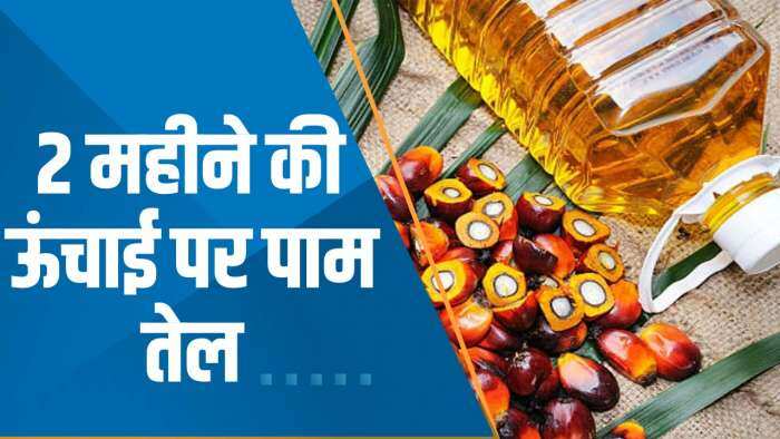 Commodities Live: पाम तेल एक्सपोर्ट पर टैक्स छूट 31 दिसंबर तक बढ़ी | COMMODITY MARKET LATEST UPDATES