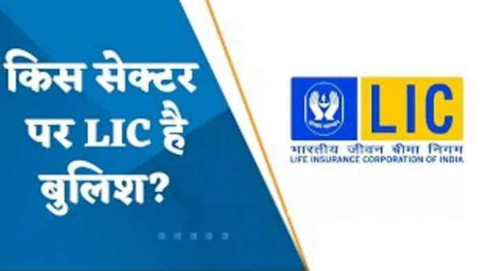 किस सेक्टर पर LIC है बुलिश? किन शेयरों में LIC का हिस्सा बढ़ा?