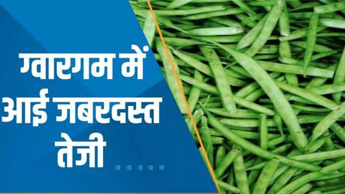 Commodity Superfast: ग्वारगम 4% से ज्यादा उछला; ग्वारगम में तेजी क्यों आई? जानिए Experts की राय