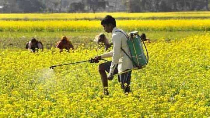 जीएम सरसों छिन लेगी 20 लाख किसानों की रोजी-रोटी, CAI ने पीएम नरेंद्र मोदी से लगाई ये गुहार