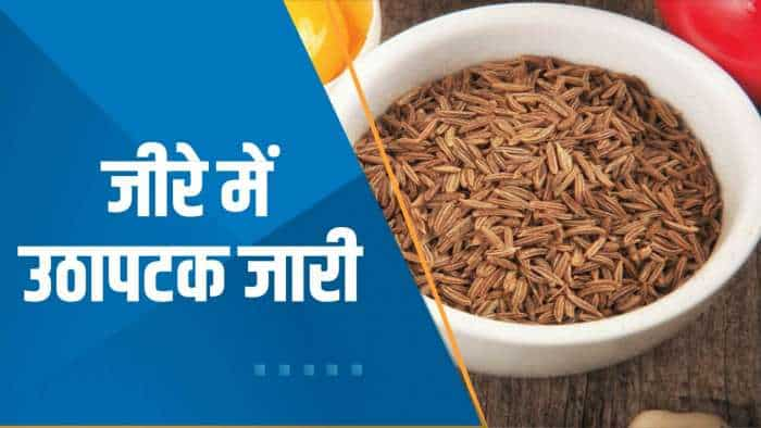 Commodities Live: Jeera की कीमतों में उतार-चढ़ाव क्यों ? जानिए एक्सपर्ट्स की राय