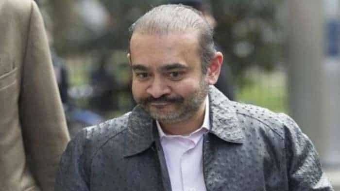 Nirav Modi Extradition uk high court rejects nirav modi appeal said suicide risk does not bar extradition know latest update