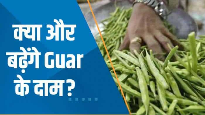 Commodities Live: NCDEX पर Guar Gum 4% उछला; क्या और बढ़ेंगे Guar के दाम? जानिए Experts की राय