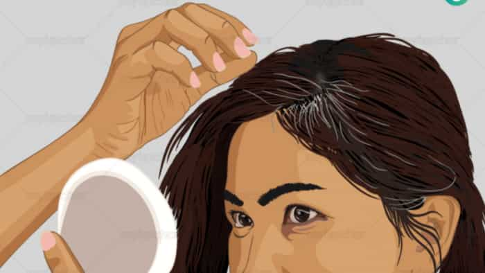 Premature Grey Hair Treatment Prevent Grey Hair at Young Age: Know the Reasons and Remedies 