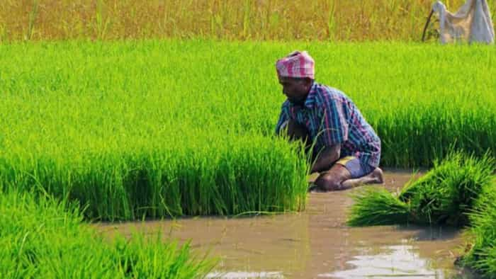 Kisan mitra urja yojana