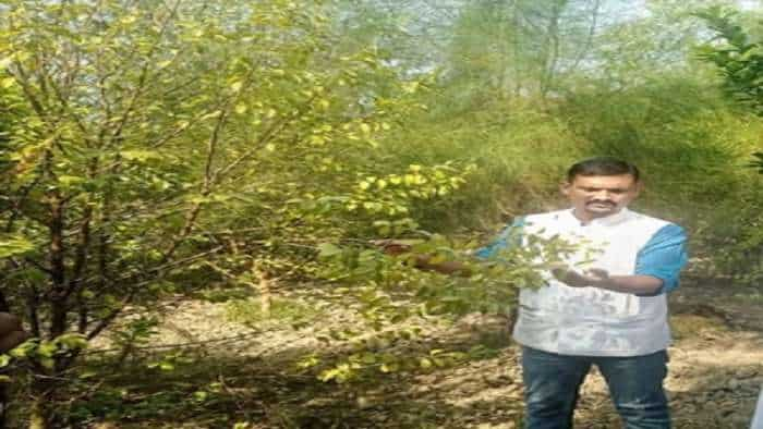 agriculture CAPF officer quits job to take up white sandalwood and black turmeric farming