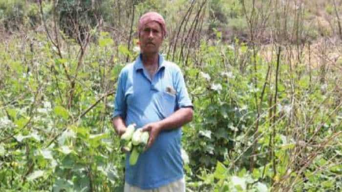 agriculture success story farmers earn over rs 1 lakh with investment of just rs 12000