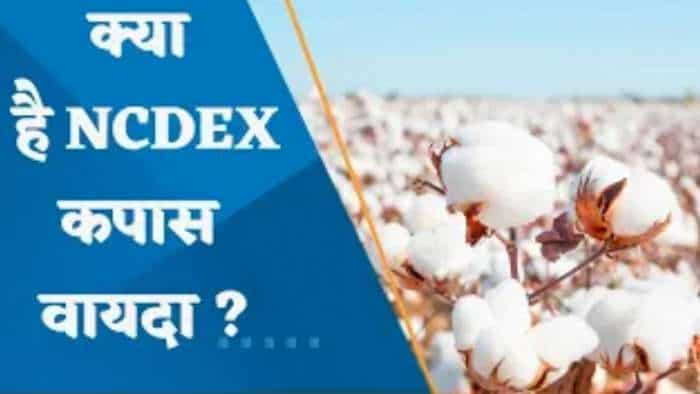 क्या है NCDEX कपास वायदा? क्या है इसके मायने?