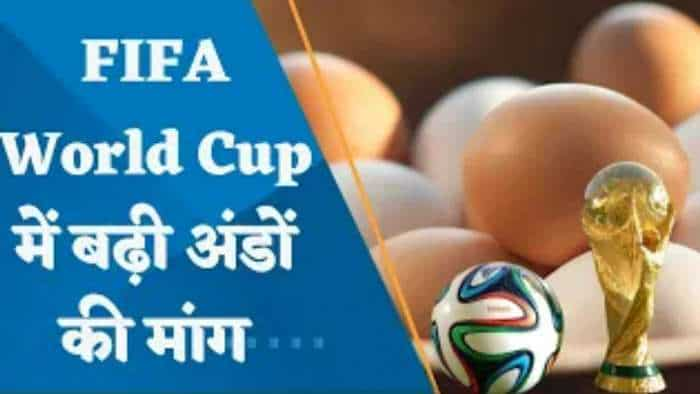 FIFA World Cup के चलते Qatar भारत से अधिक अंडे क्यों खरीद रहा है? किन घरेलू कंपनियों को होगा फायदा?