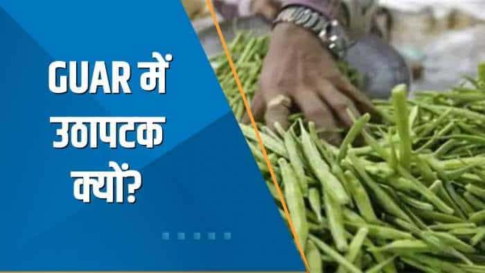 Commodities Live: GUAR की कीमतों में उठापटक क्यों है? जानिए Experts की राय