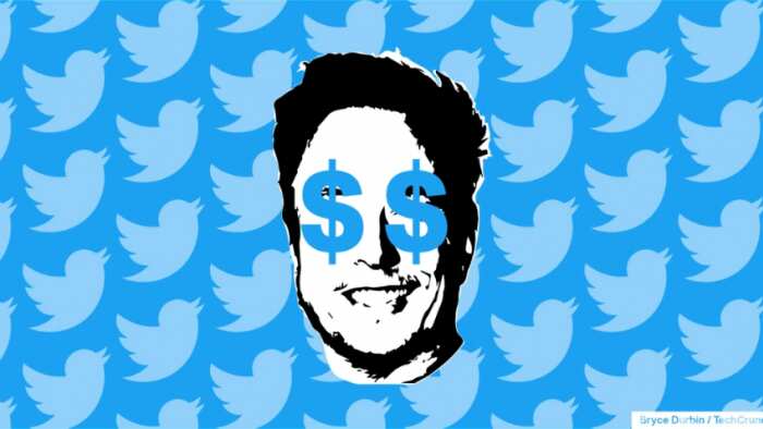 Twitter Blue Tick: Elon Musk to charge 11 dollars per month from iphone users for blue tick verification says report