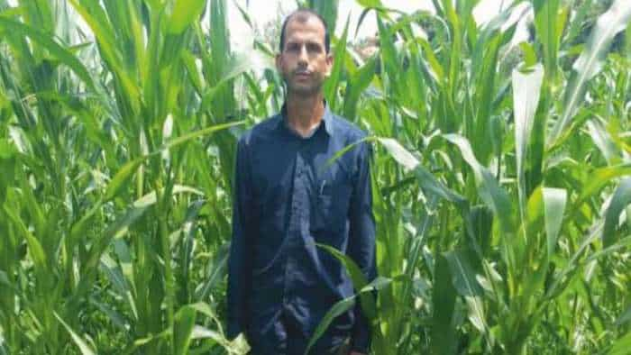 agriculture natural farming farmer earns over rs 2 lakh by investment of rs 5000 know its benefits