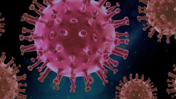 Coronavirus BF 7 Variant in India Covid 19 suspected case found in Vadodara Gujarat NRI Women new Omicron sub-variant surge in China covid cases