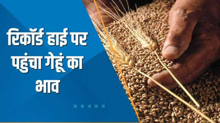 Commodities Live: Record High पर गेहूं के दाम, 1 Quintal गेहूं का भाव ₹2,915 पर पहुंचा